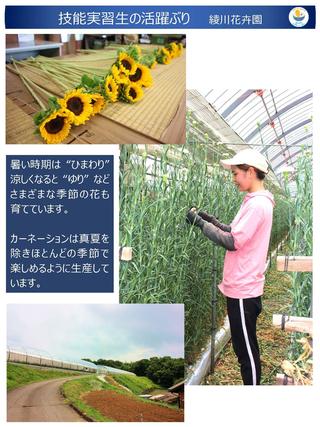 ⑥-4 Ayagawa Flower Garden (Adachi/Noda) 20220813[gazou]_page_3.jpg