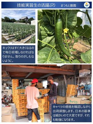 ⑩-5 Matsumoto Farm (Yano/Tao) 20220813[gazou]_page_4.jpg