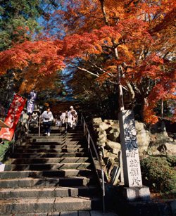 3.3.2 Ookuboji Temple.jpg