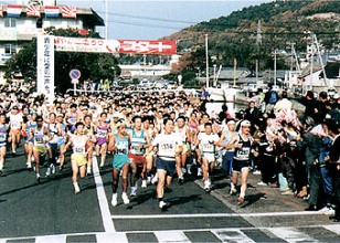 4.2.4 The All-Japan Seto Inland Sea Turtle Full Marathon.jpg