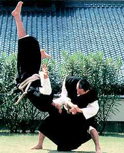 4.2.5 Shorinji-Kenpo.jpg