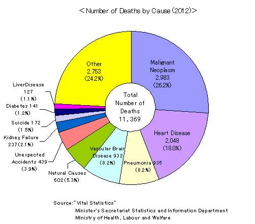 Number_of_Deaths_by_Cause2012.jpg