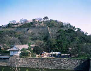 3.1.5 Marugame Castle